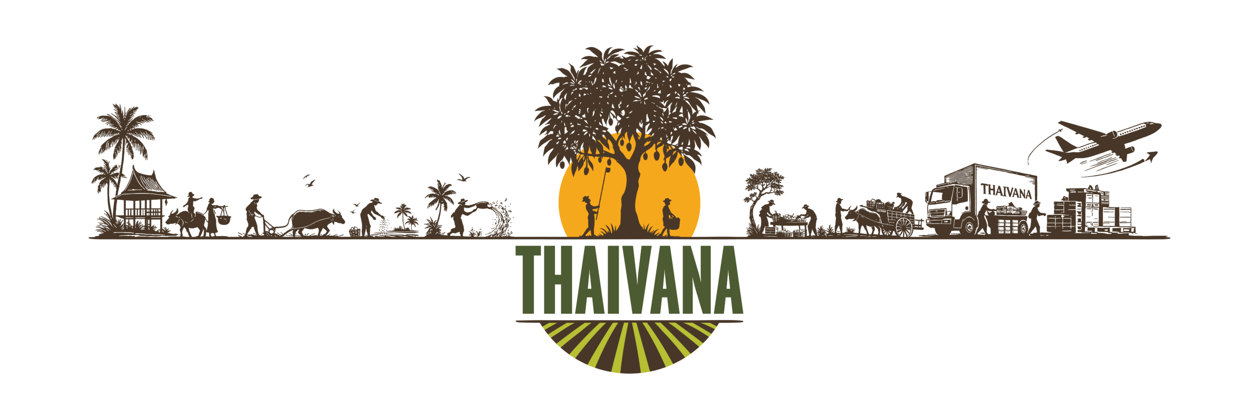 Thaivana – Premium Exotic Produce